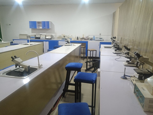 Цвет в лаборатории: больше, чем эстетика Лаборатория с цветными элементами